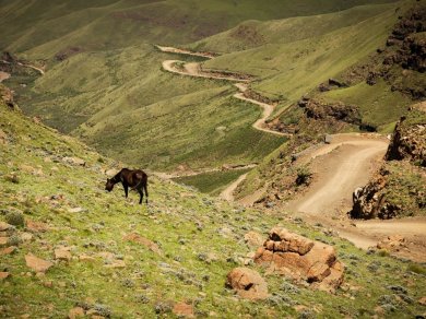wycieczka do RPA, Lesotho, Suazi i Mozambiku z Prestige Tours