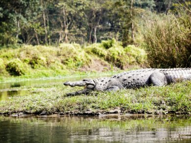 Park Narodowy CHITWAN zwiedzanie z Prestige Tours