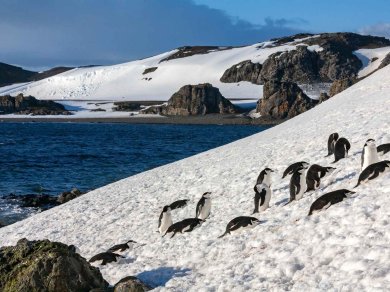 rejsy polarne -WYSPA KRÓLA JERZEGO, POŁUDNIOWE SZETLANDY