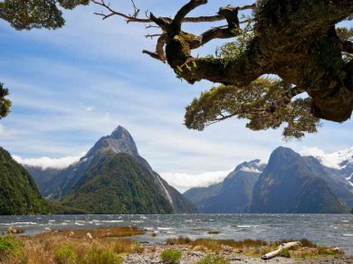 Milford Sound zwiedzanie