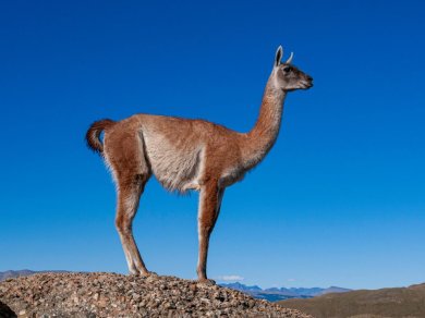 Peru - Tęczowe góry wycieczka