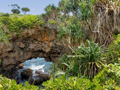Tonga  wycieczka egzotyczna z Prestige Tours
