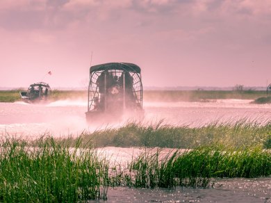 wycieczka do Parku Narodowego Everglades