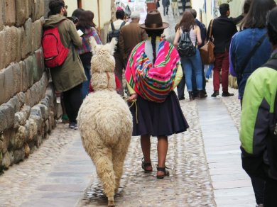 Cuzco - Peru wycieczka