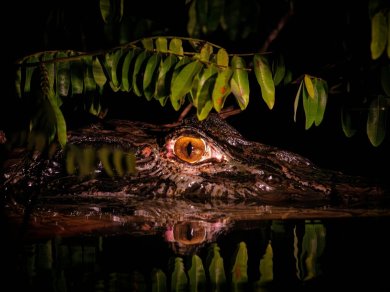 Wycieczka Amazonia z Prestige Tours