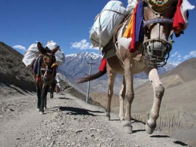 wycieczka do Nepalu