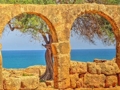 Tipaza wycieczka Prestige Tours