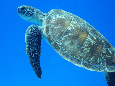 wycieczka do Australii z Prestige Tours