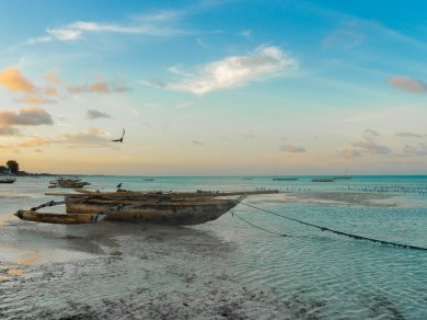 wypoczynek na plaży na Zanzibarze