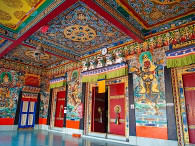 Bagdogra wycieczka Prestige Tours