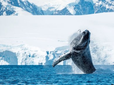 Biegun Północny rejs