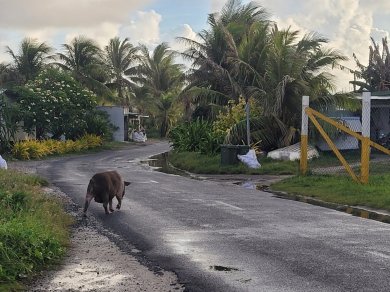 Tuvalu - wycieczka ezgzotyczna Prestige Tours