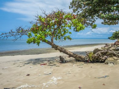 Libreville Gabon wycieczka Prestige Tours