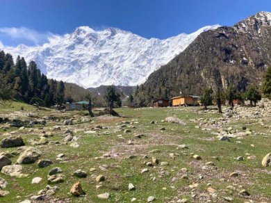 Fairy Meadows