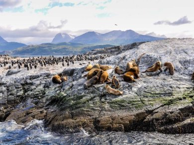 KANAŁ BEAGLE wycieczka z Prestige Tours