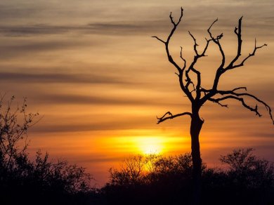 wycieczka do RPA, Lesotho, Suazi i Mozambiku z Prestige Tours