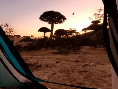 widok z namiotu Sokotra