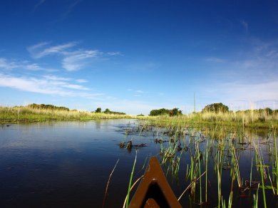 Delta Okawego Botswana wycieczka Prestige Tours