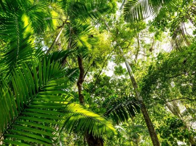 Wycieczka Amazonia z Prestige Tours