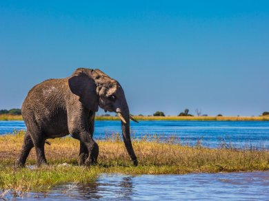 Delta Okawego Botswana wycieczka Prestige Tours
