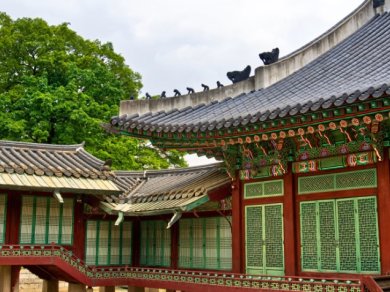 zwiedzanie pałacu królewskiego Changdeok