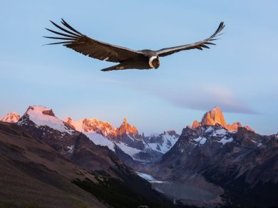 wycieczka do Argentyny, Chile, Urugwaju z opcja na Wyspę Wielkanocną