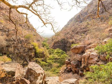 Moremi wycieczka Prestige Tours