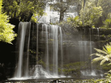 wycieczka do Australii z Tasmanią z Prestige Tours