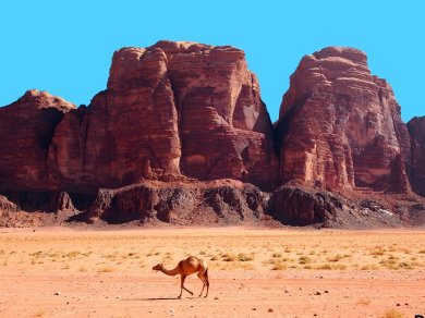 Wadi Rum – zniewalający krajobraz pustyni