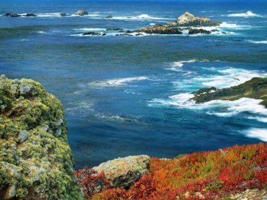 MONTEREY, POINT LOBOS