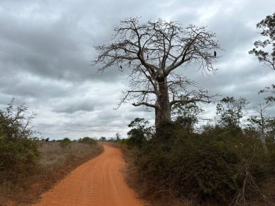 wyprawa egzotyczna z Prestige Tours - wycieczka Angola