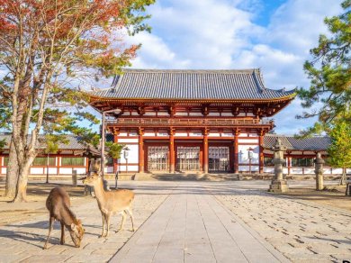 Nara - wycieczka Prestige Tours
