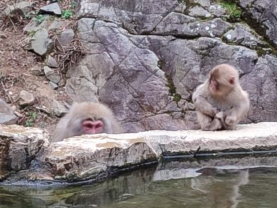 Japonia zimą wycieczka Prestige Tours