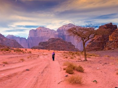 Wadi Rum – zniewalający krajobraz pustyni