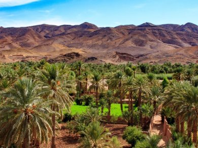 DOLINA DRAA - wycieczka po Maroku