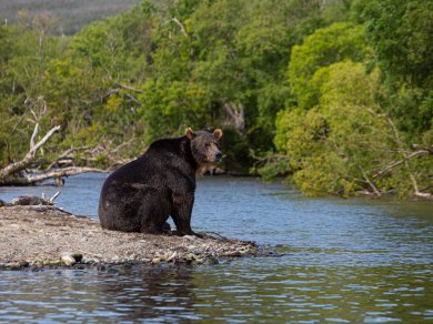 Alaska