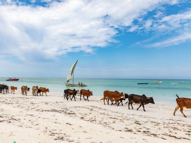 wypoczynek na plaży na Zanzibarze