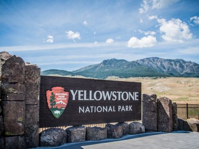 wycieczka do Parku Narodowego Yellowstone