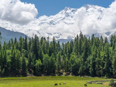 Nanga Parbat