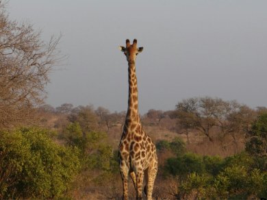 wycieczka do RPA, Lesotho, Suazi i Mozambiku z Prestige Tours