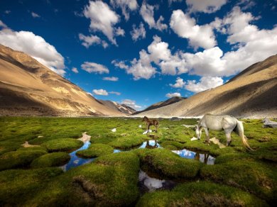 JEZIORO PANGONG wycieczka Prestige Tours