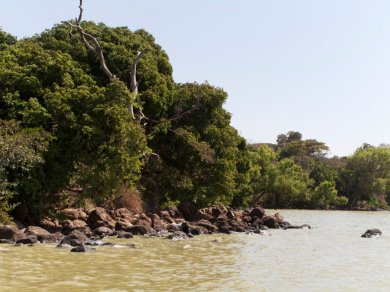Tana Lake wycieczka Prestige Tours