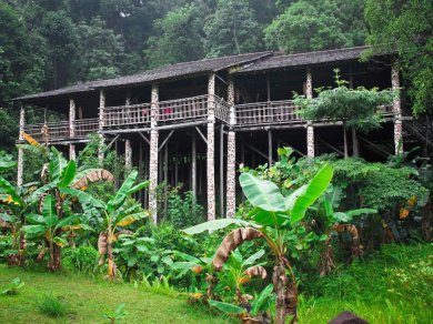 wycieczko Borneo