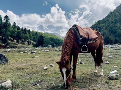 Nanga Parbat  wycieczka egzotyczna Prestige Tours