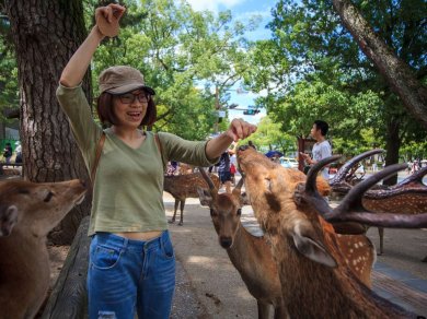 Nara - wycieczka Prestige Tours