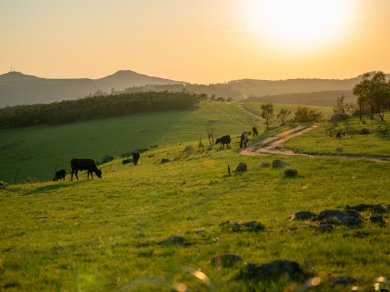 wycieczka do RPA, Lesotho, Suazi i Mozambiku z Prestige Tours