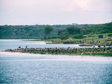 wycieczka do Ugandy