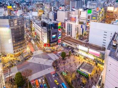 Tokio - Japonia zimą