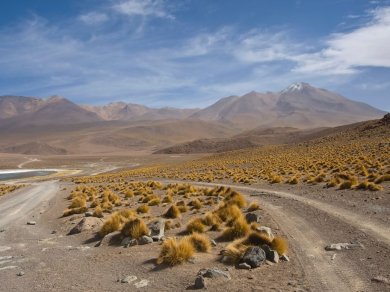 Altiplano wycieczka Prestige Tours
