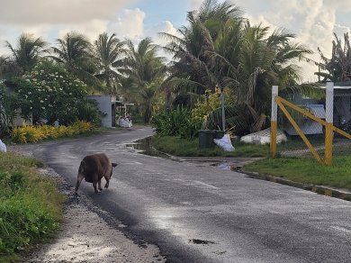 Tuvalu - wycieczka ezgzotyczna Prestige Tours